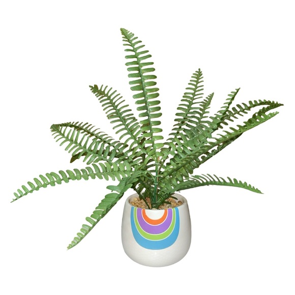 Artificial Potted Fern With Rainbow Design - Picture 4 of 5